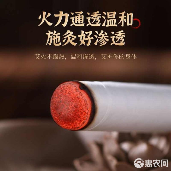 傳承古法，溫養新生 探秘艾條產業的中醫智慧與現代應用
